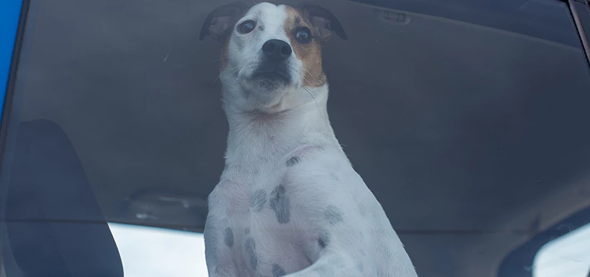 Car Lockout Solutions in Eastvale, California